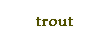 Trout bait