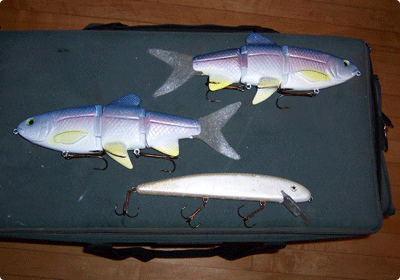 Bluegill Bait